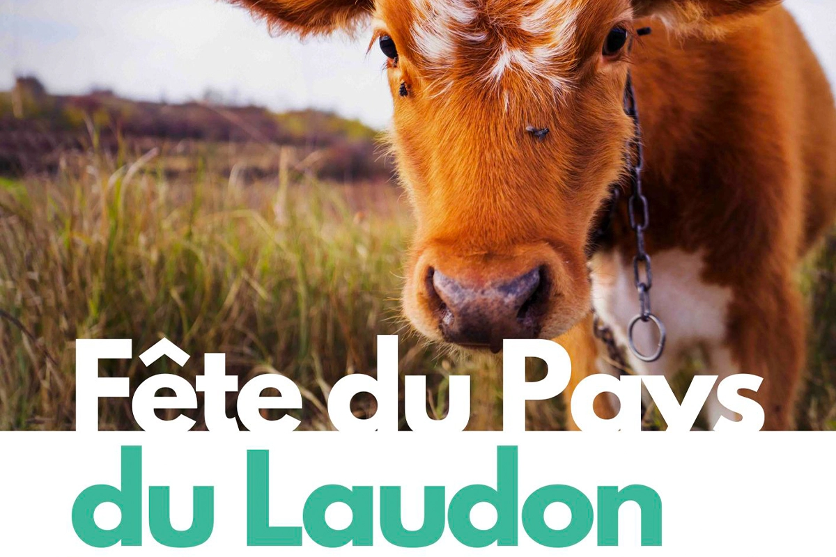 Journée portes ouvertes escalade le 13 septembre pour la Fête du Laudon